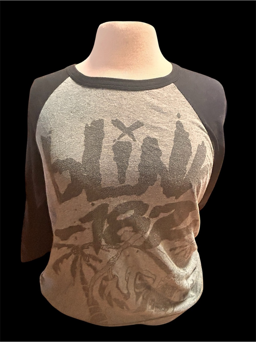 Blink 182 Raglan Sleeve Tee in Gray and Black unisex med-large?